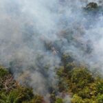 Indígenas criam sala de situação para monitorar queimadas em Roraima
